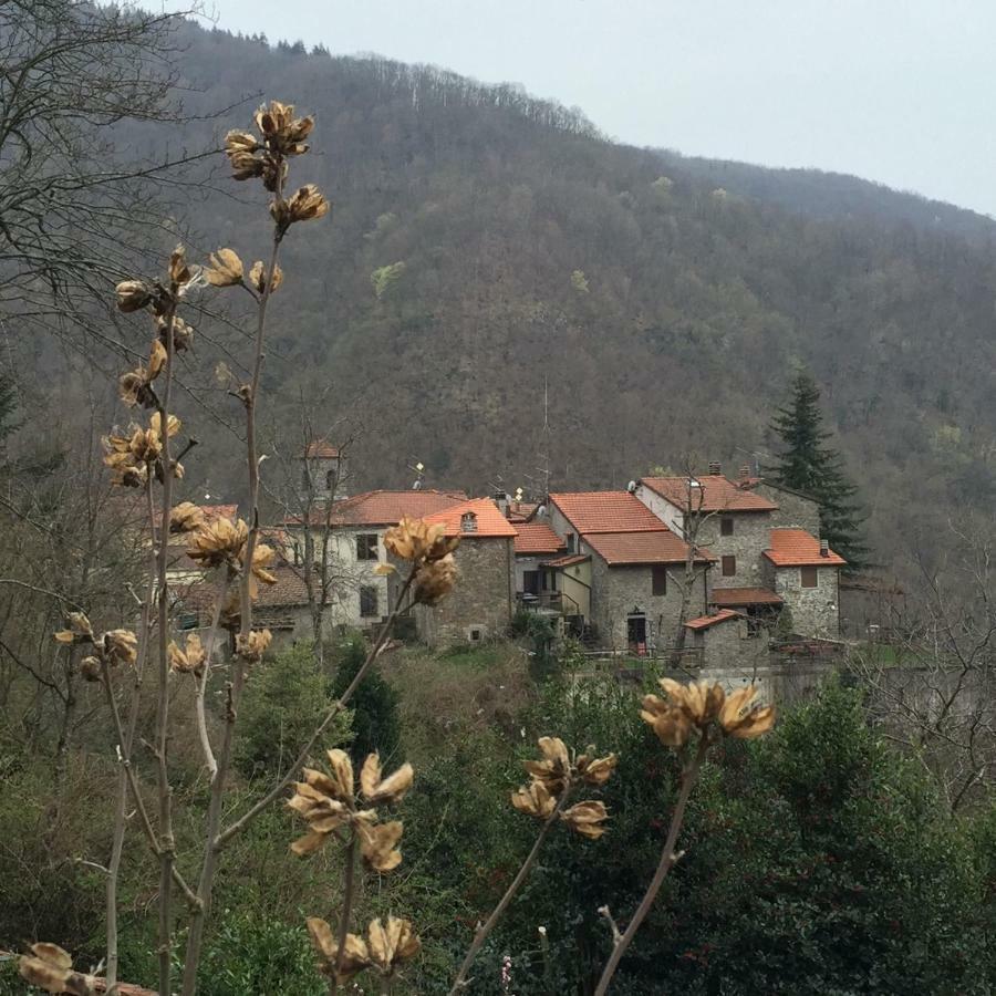 B&B Il Ghiro Castiglioni  Zewnętrze zdjęcie
