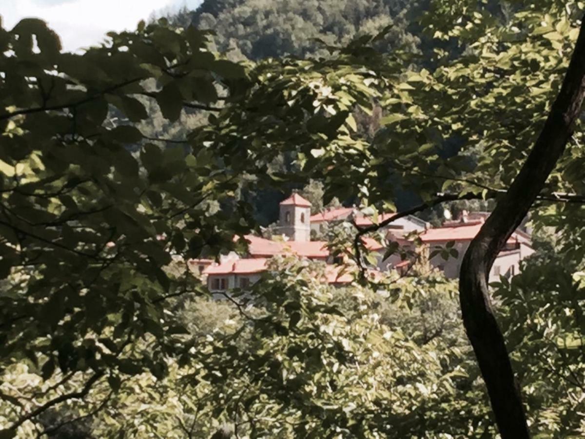 B&B Il Ghiro Castiglioni  Zewnętrze zdjęcie