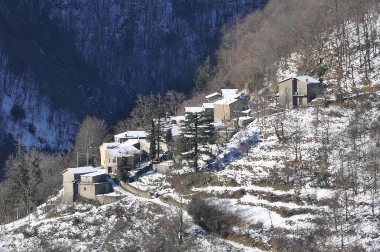 B&B Il Ghiro Castiglioni  Zewnętrze zdjęcie