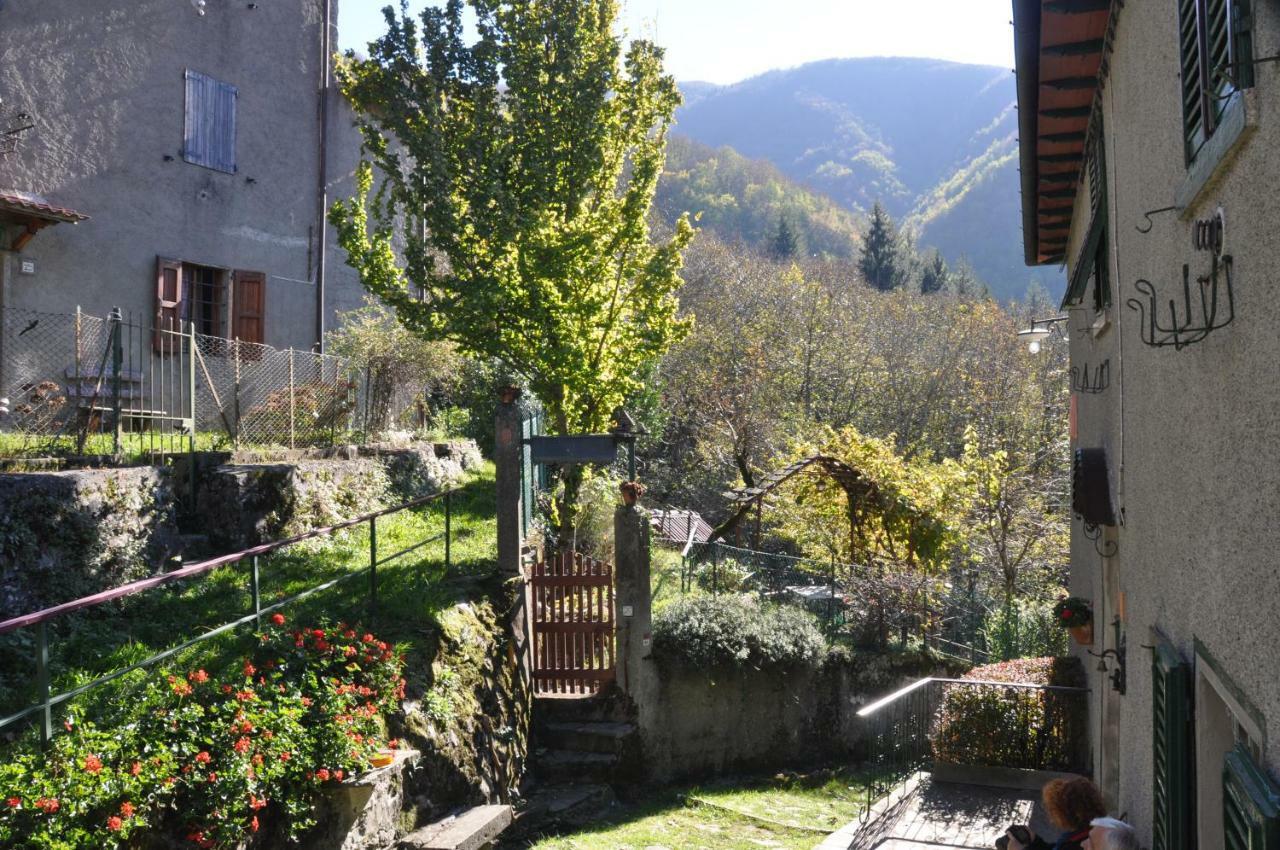 B&B Il Ghiro Castiglioni  Zewnętrze zdjęcie