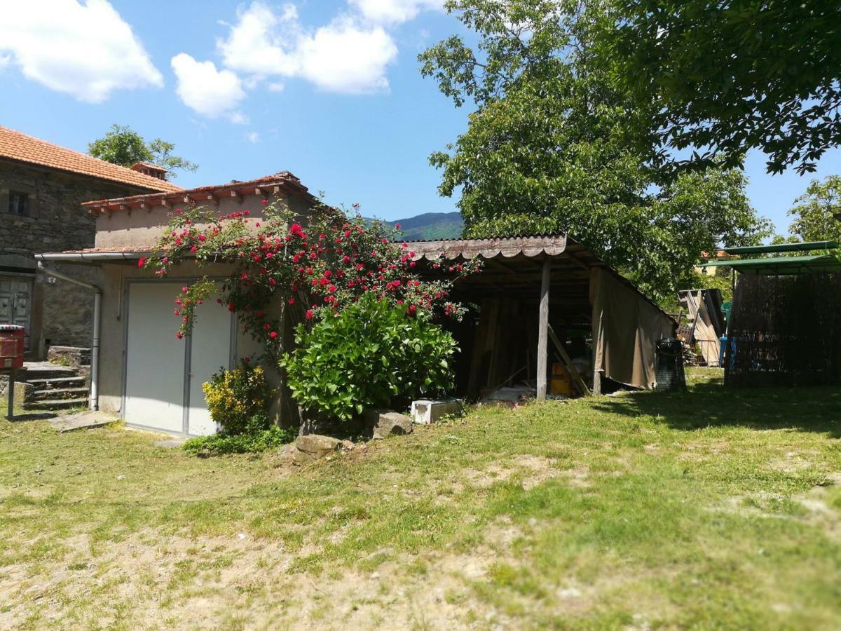 B&B Il Ghiro Castiglioni  Zewnętrze zdjęcie